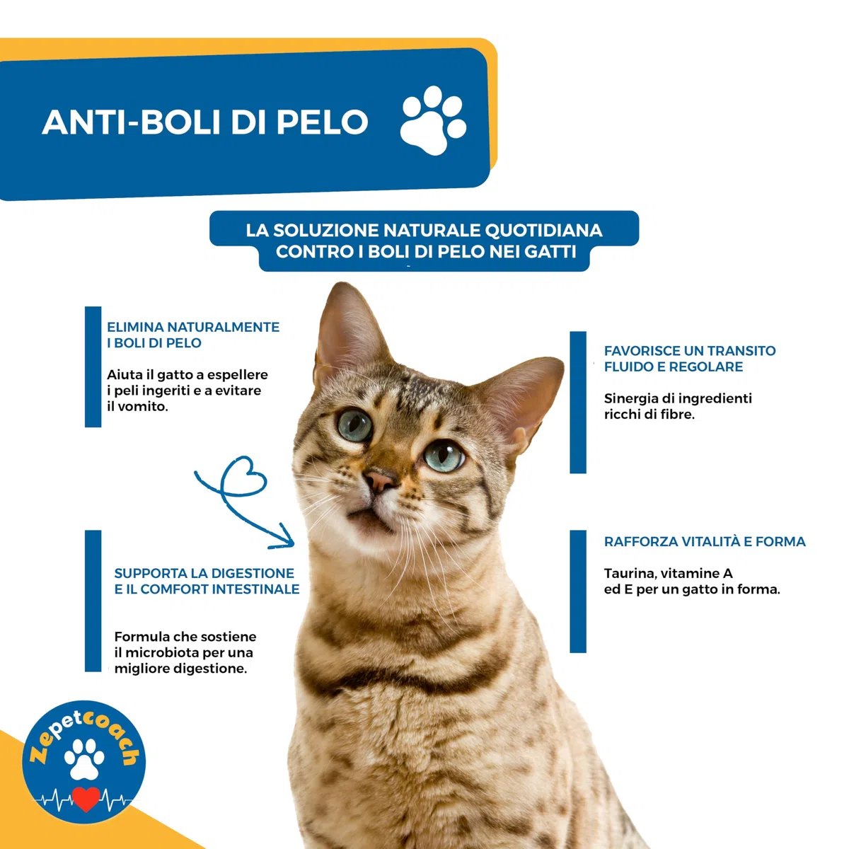 Anti-Boli di Pelo Gatto – ZPC – Integratore Naturale per Digestione & Transito – Taurina, psyllium & cicoria – 250 g