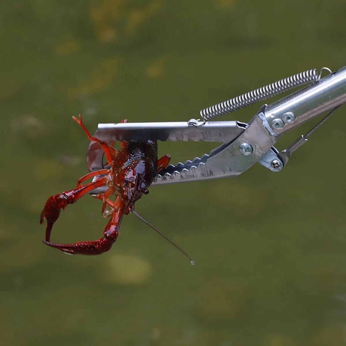 Generico Pinza per Serpenti in Acciaio Inox, Pieghevole, Doppia Faccia seghettata, a ganascia Larga, con Manico Antiscivolo, per Serpenti, Topi, Serpenti a sonagli, Argento 1
