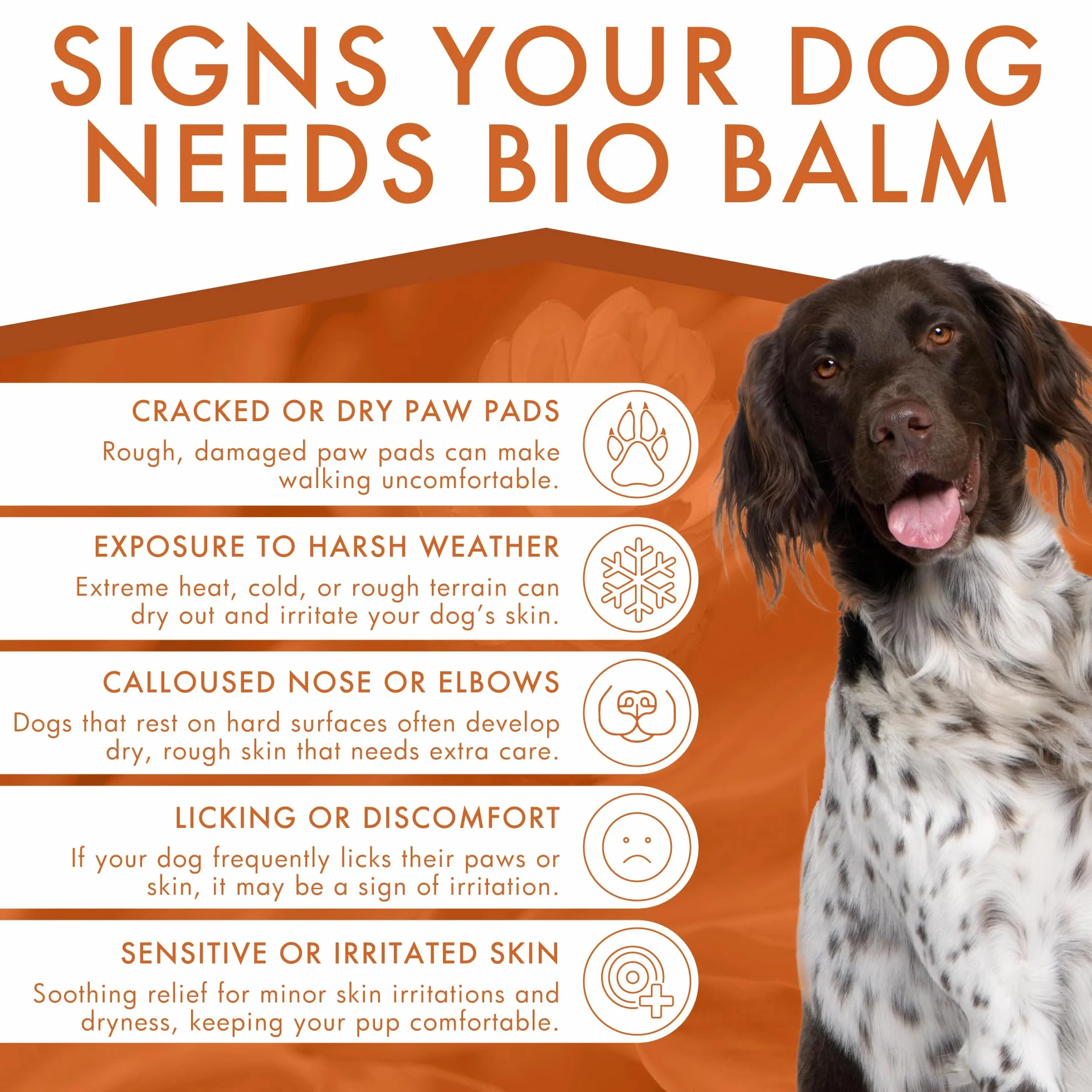 Dermocent | Balsamo Biologico | Balsamo per zampe di cane | Idratante organico per zampette, naso e gomiti | Sollievo dalla pelle pruriginosa del cane | Lenisce le zampe sensibili | 50 ml
