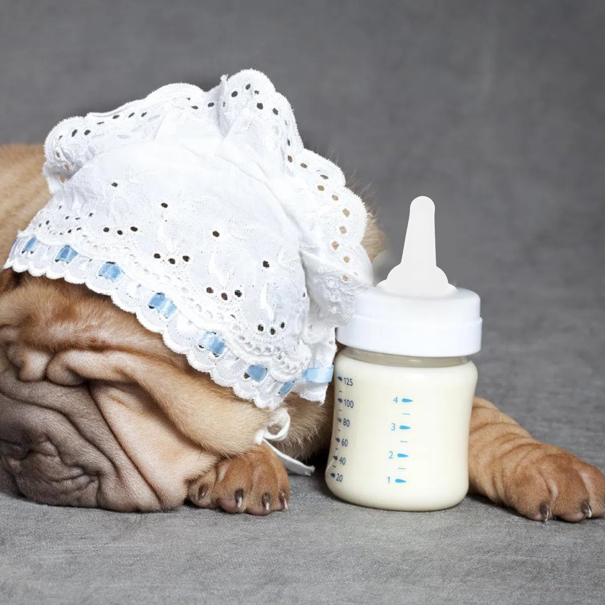 Set 50 Ciucci per Biberon in Silicone Morbido per Animali Domestici, Tettarelle Piccole Trasparenti per Gattini, Cuccioli e Conigli, Accessori per Alimentazione e Cure Ragazzo