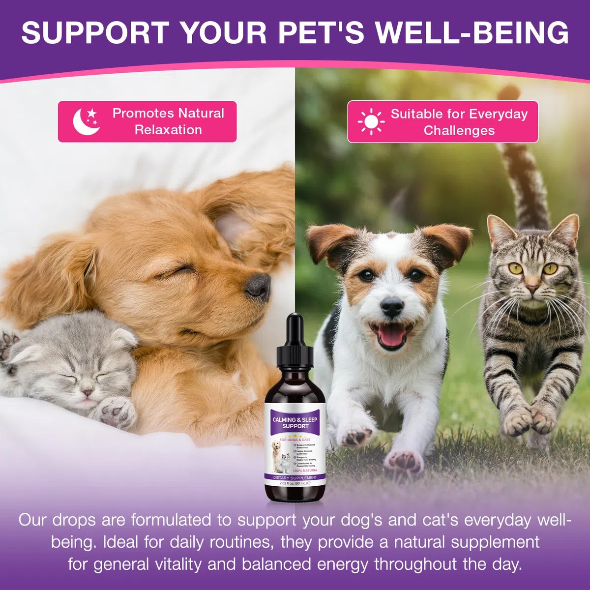 Melatonina Cane Gatto 120 ml, Integratore Liquido per Cani e Gatti, Gocce Anti Stress e Calmanti Naturali, Supporto per Relax e Riposo, Aiuta il Benessere degli Animali, Formula ad Alta Assorbibilità