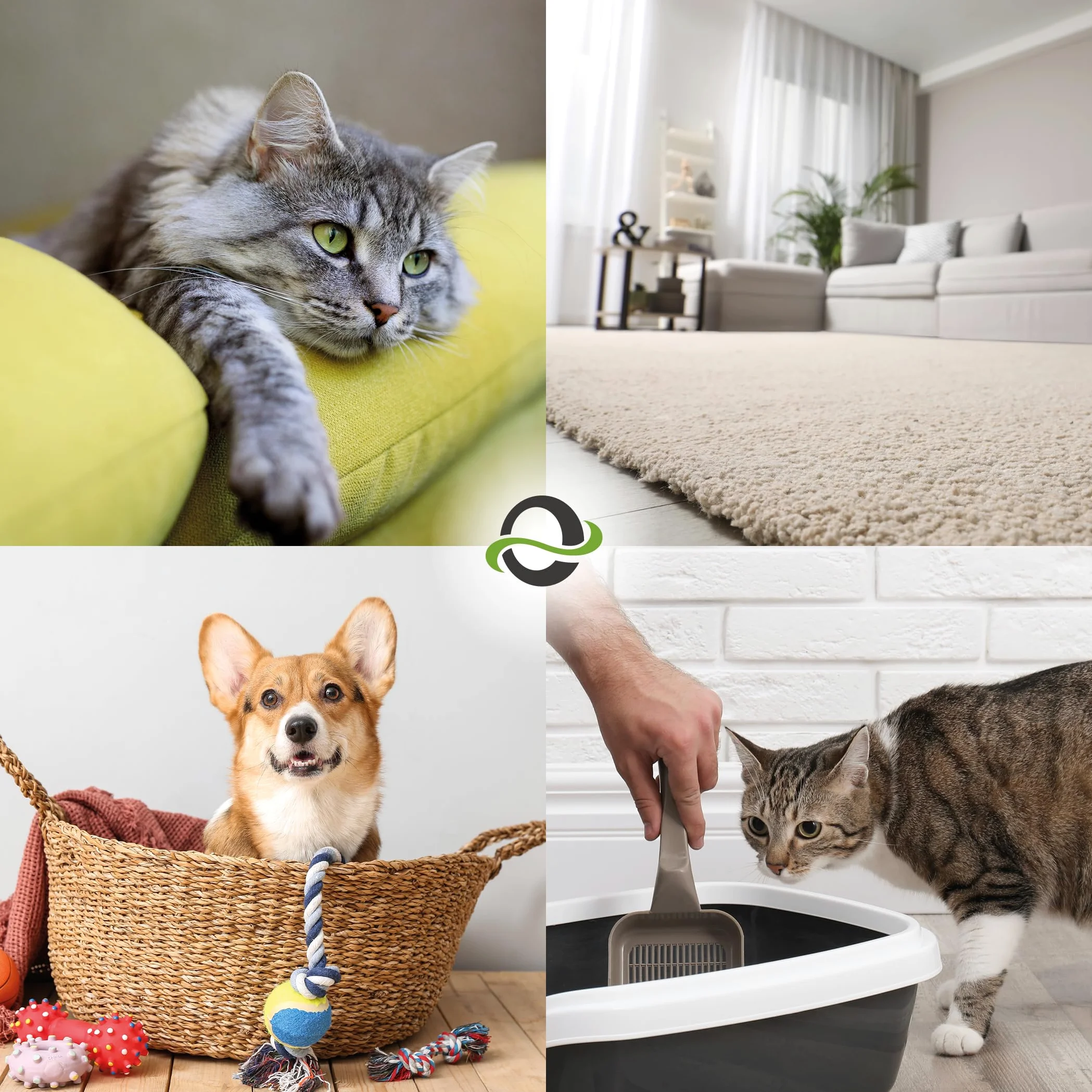 UF2000 4Pets Eliminatore di Odori di Urina 1000ml | Ricarica | Senza Profumo | Togliere Odore Urina | 100% Biologico | Detergente Enzimatico per Cani, Gatti e Piccoli Animali