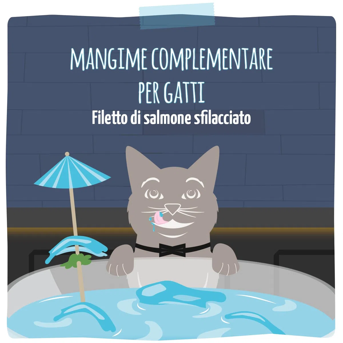 MjAMjAM - Deliziosa bevanda per gatti - Cocktails – Filetto di salmone sfilacciato, Confezione da 20 (20x40), senza cereali