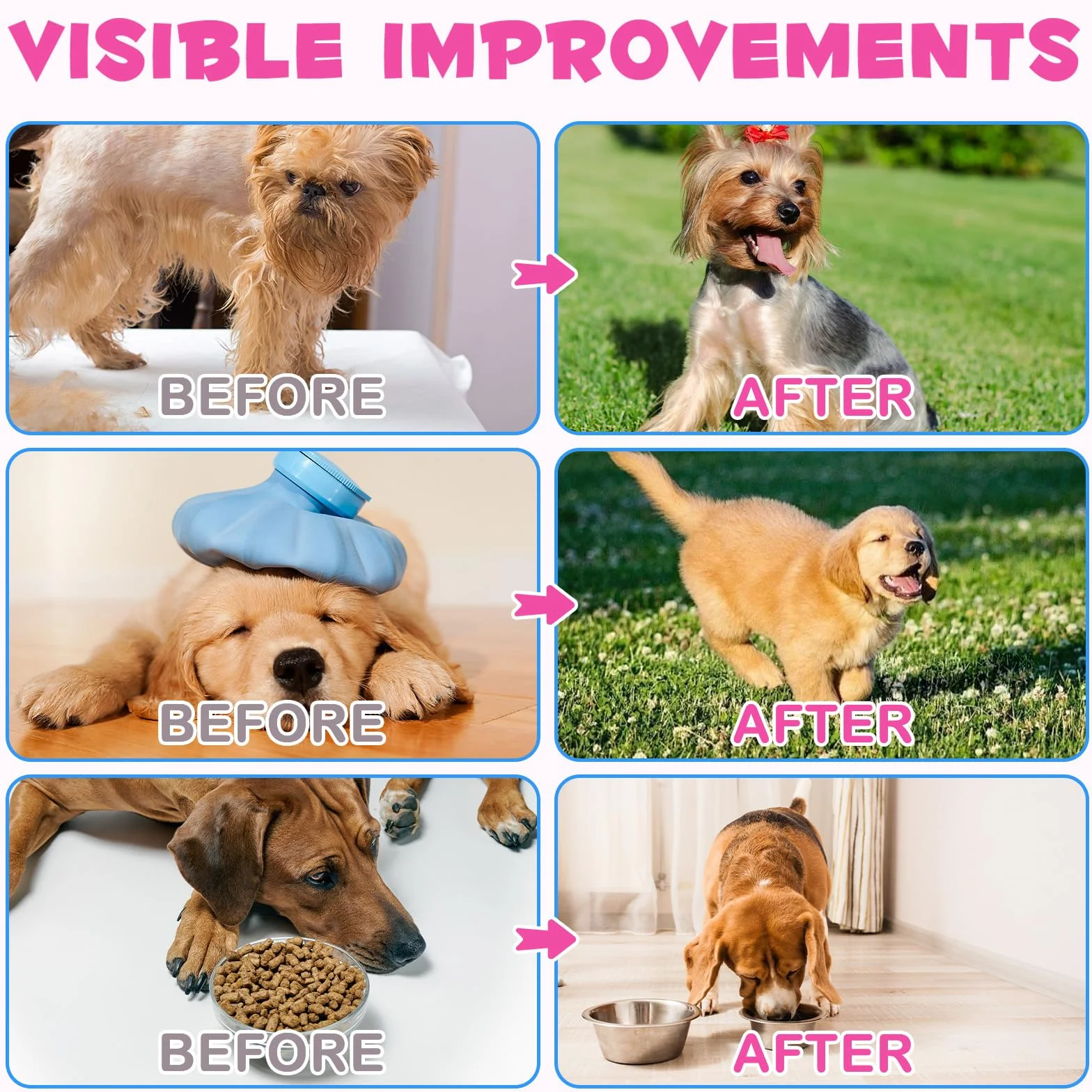 Collagene per Cani, Gocce di Collagene per Cani 60 Ml, Potenziamento del Collagene, Ricco di Biotina, Aiuta La Salute della Pelle, delle Articolazioni E Dell'Apparato Digerente (1pcs, Bacon)