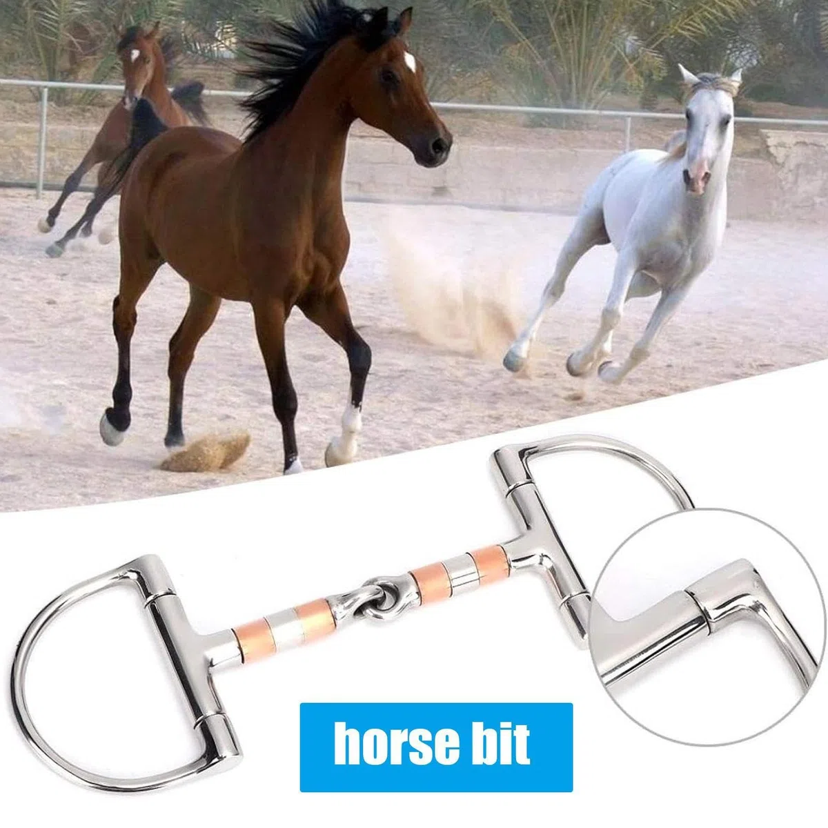 da addestramento per , con anello a D con bocca a rullo in rame, punta singola per equitazione e allenamento