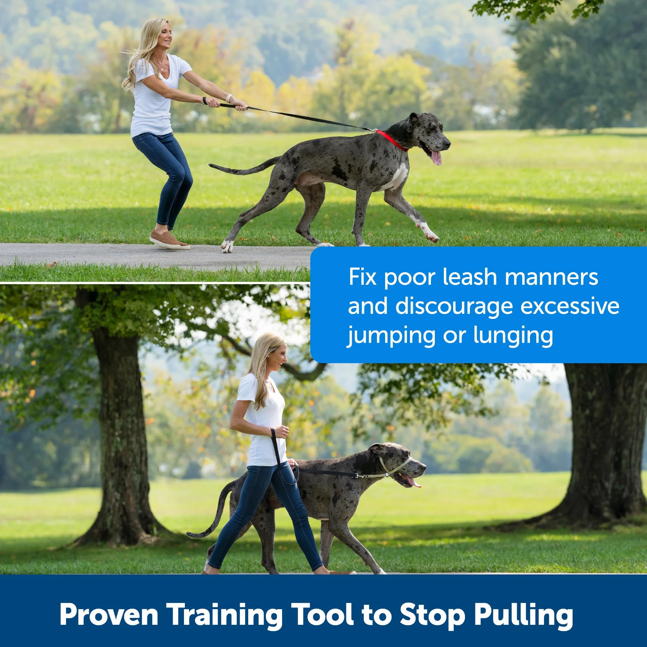 PetSafe - Collare a cavezza Easy Walk per cani di taglia grande (L), comoda, anti-trazione, con guinzaglio in nylon (incluso) - Nero