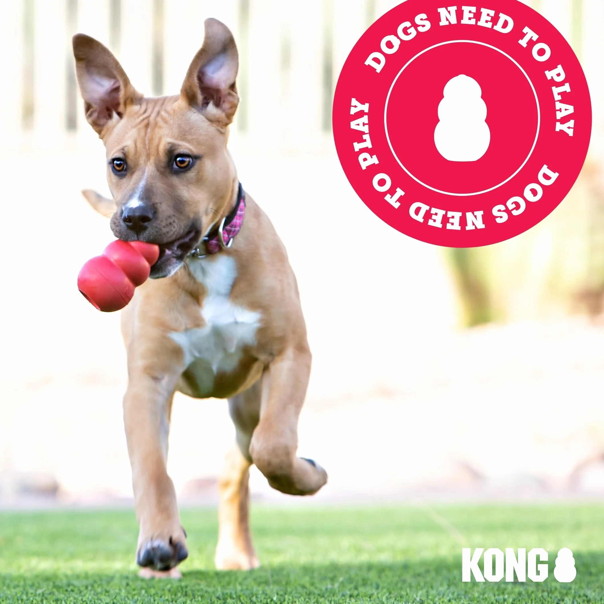 KONG Wild Knots Giraffa giocattolo per cani (medio/grande)