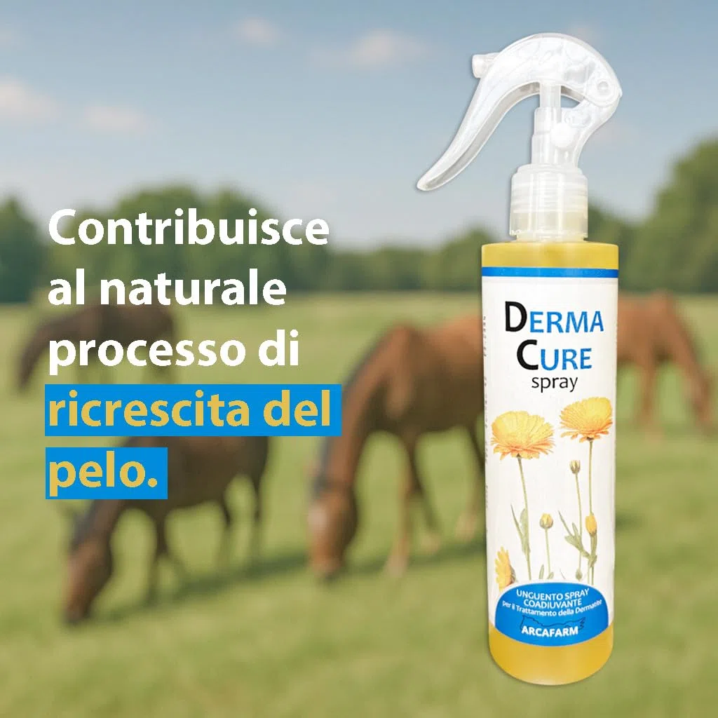 Spray Dermatite Cavalli DermaCure Arcafarm 250 ml - Trattamento Naturale per eczemi, irritazione pelle, arrossamenti, dermatite estiva recidivante cavallo, prurito cute - supporto per ricrescita pelo