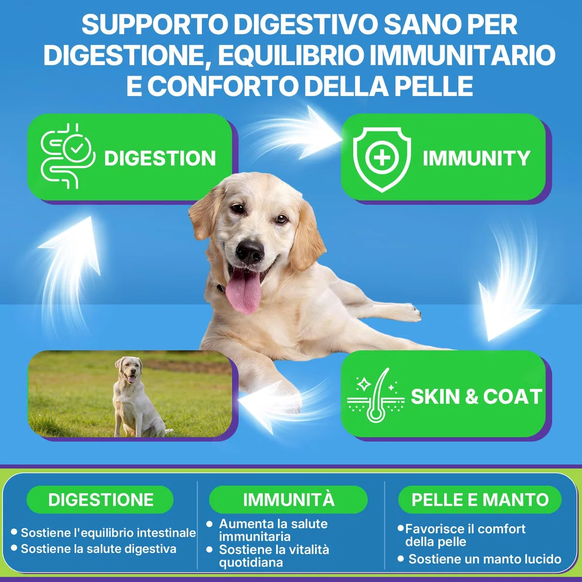 Probiotici per Cani, Prebiotici per la Salute Intestinale–Supporta la Salute Digestiva e l’Assorbimento dei Nutrienti–200 Bocconcini Morbidi che Supportano la Salute della Pelle e la Salute Generale