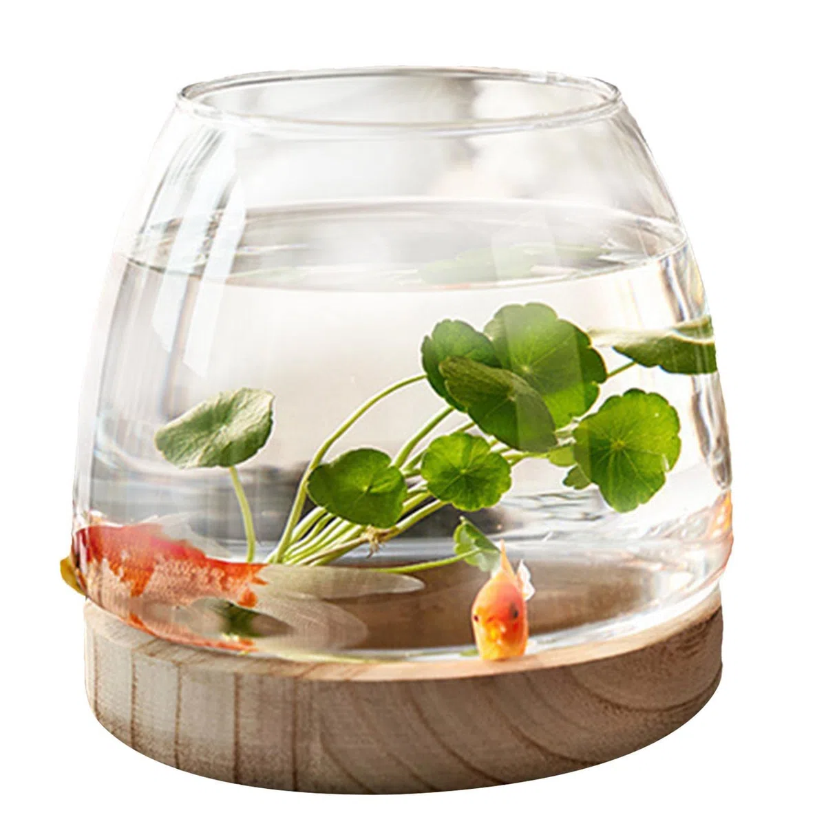 Ciotola per pesci in vetro con base in legno, piccola per pesci rossi da combattimento, acquario per scrivania, piante idroponiche, vaso per piante, terrario in vetro, decorazione per la casa
