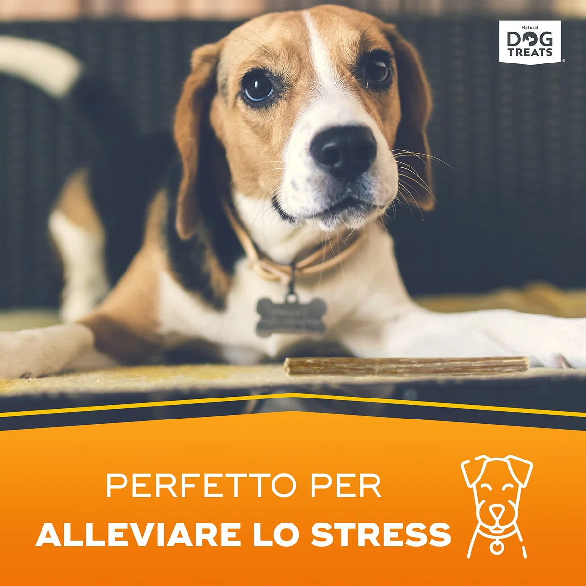 Natural Dog Treats - Bastoncini di Manzo per Cani - Nervo di Bue da Masticare - Snack 100% Naturali - 5 pezzi