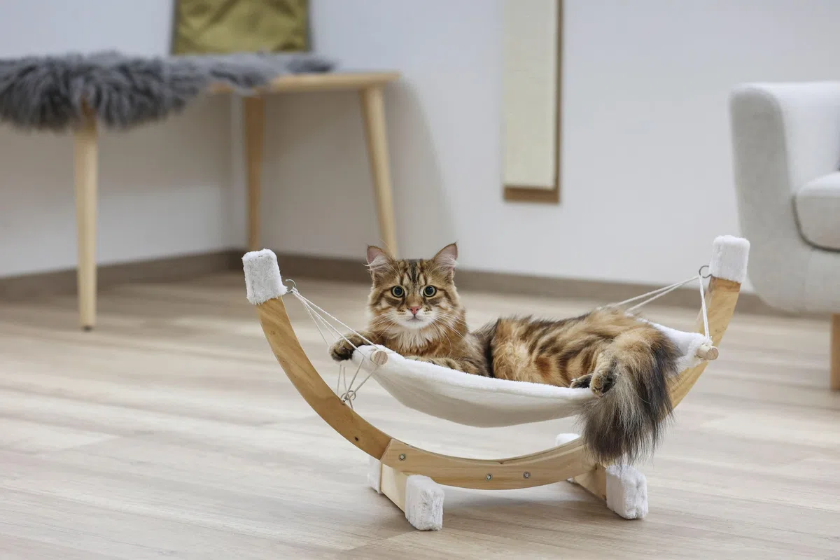 Hamac Siesta Blanc Pour Chat