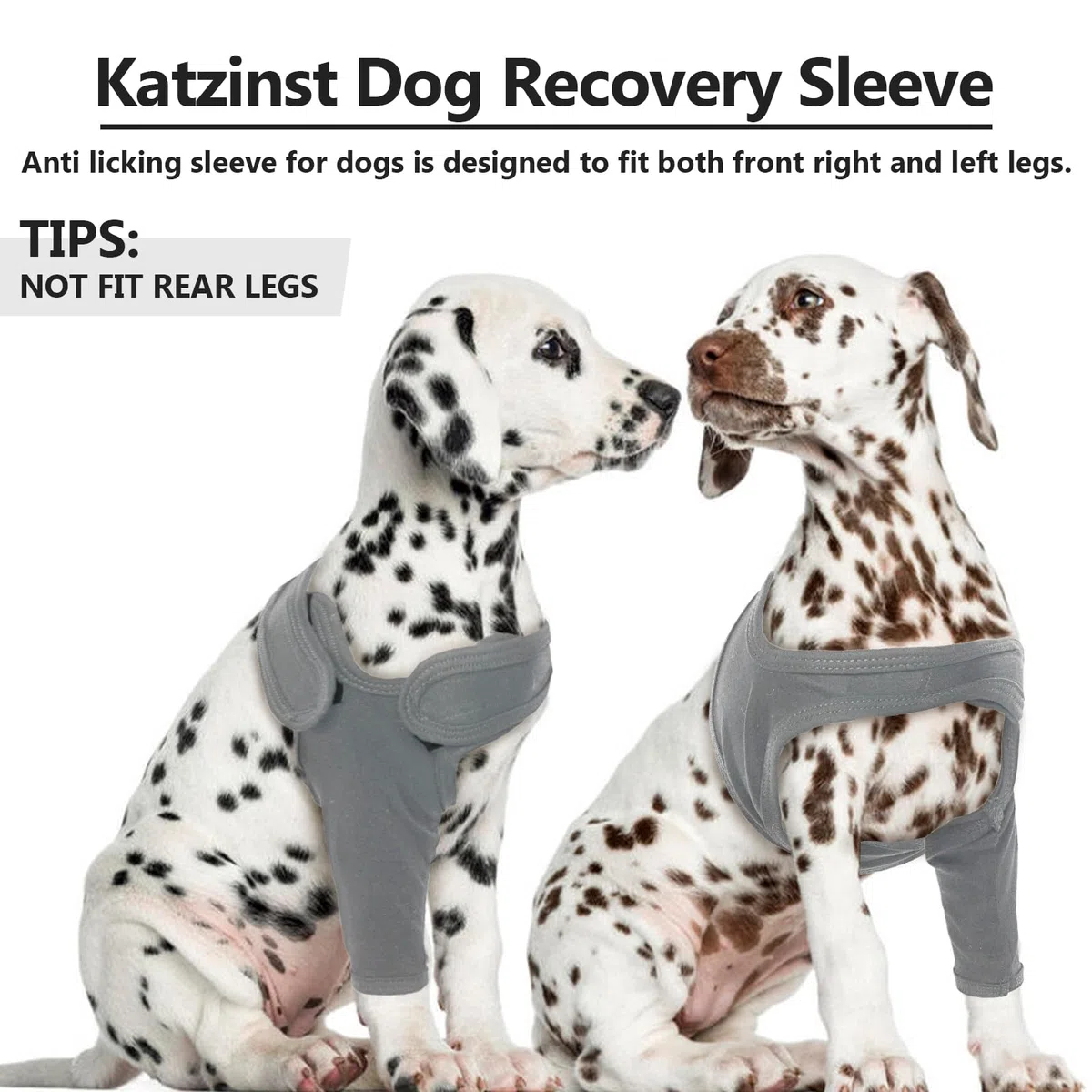 Gilet di recupero per chirurgia canina anteriore - destro - gamba sinistra - protezione - gomito, Grigio, XL