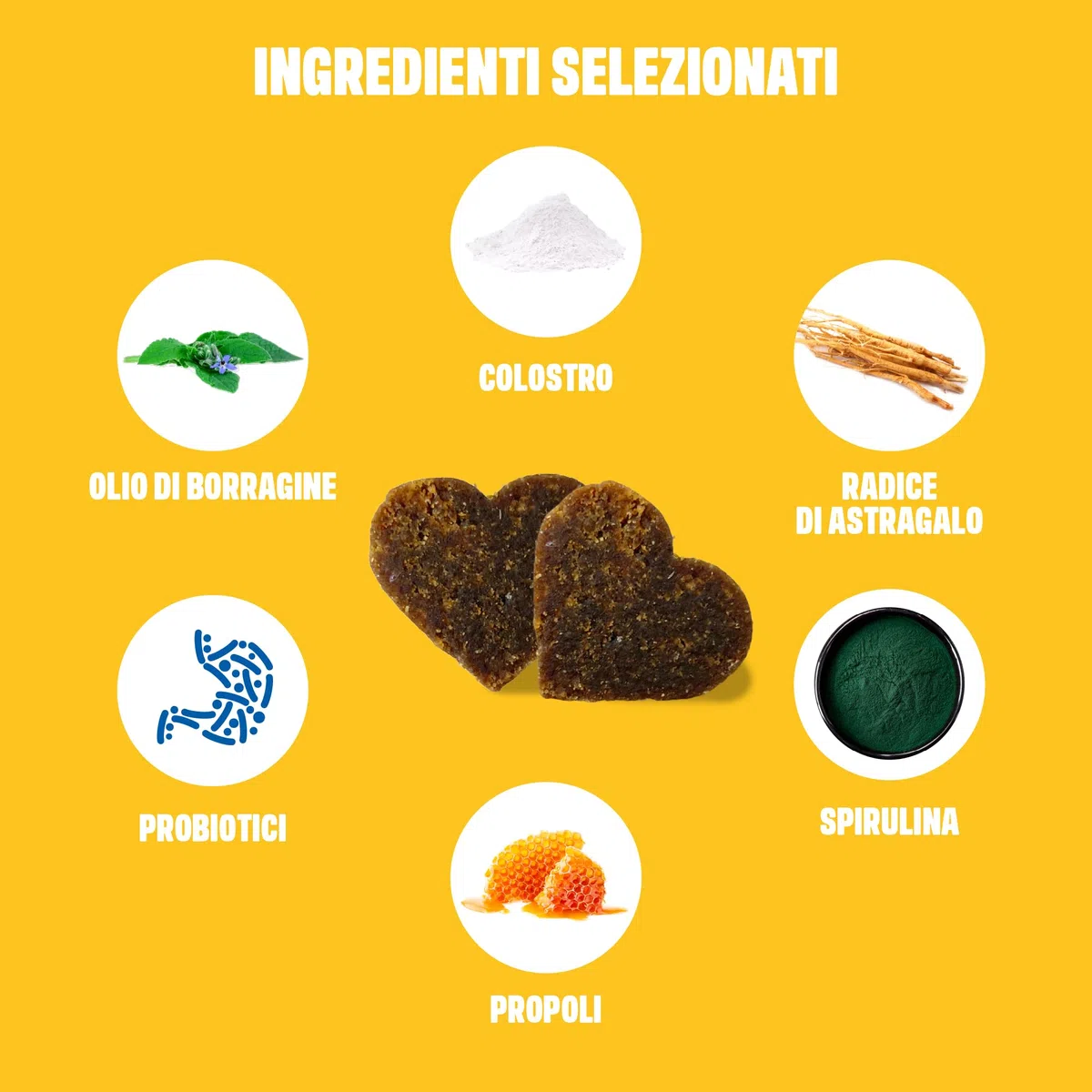 ivvi Allergy Immunity per cani – contro allergie e prurito e rafforzare il sistema immunitario – 60 deliziosi snack (270g) con salmone