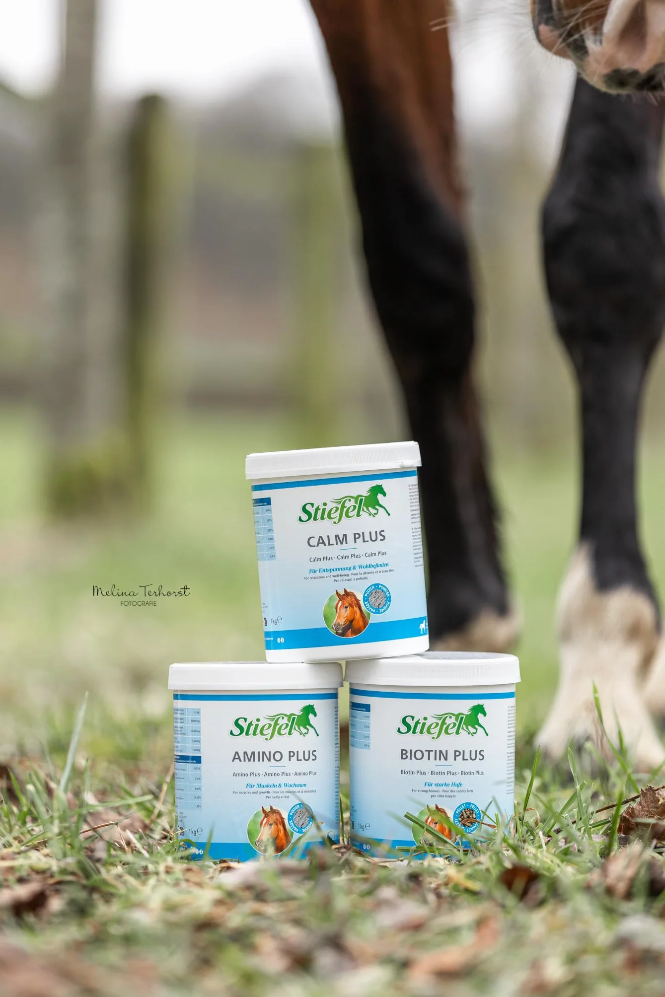 Stiefel Amino Plus per cavalli, supporto di alta qualità per la costruzione muscolare e le prestazioni nei cavalli sportivi