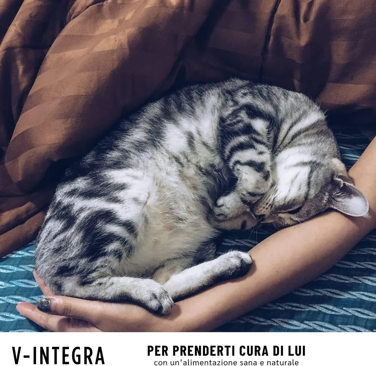 V-INTEGRA Renal 200g, Integratore Vitamine e Minerali per Bilanciare Diete Casalinghe di Cani e Gatti che Richiedono una Restrizione di Fosforo, Multivitaminico Cane e Gatto Made in Italy