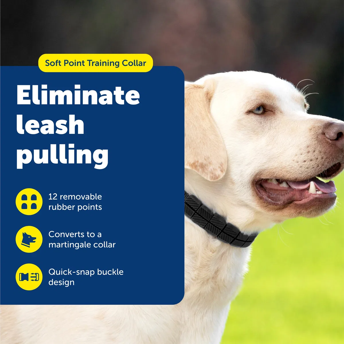 PetSafe Soft Point Collare per addestramento cani, senza tirare, con punte morbide in gomma, grande, 2,5 cm, nero