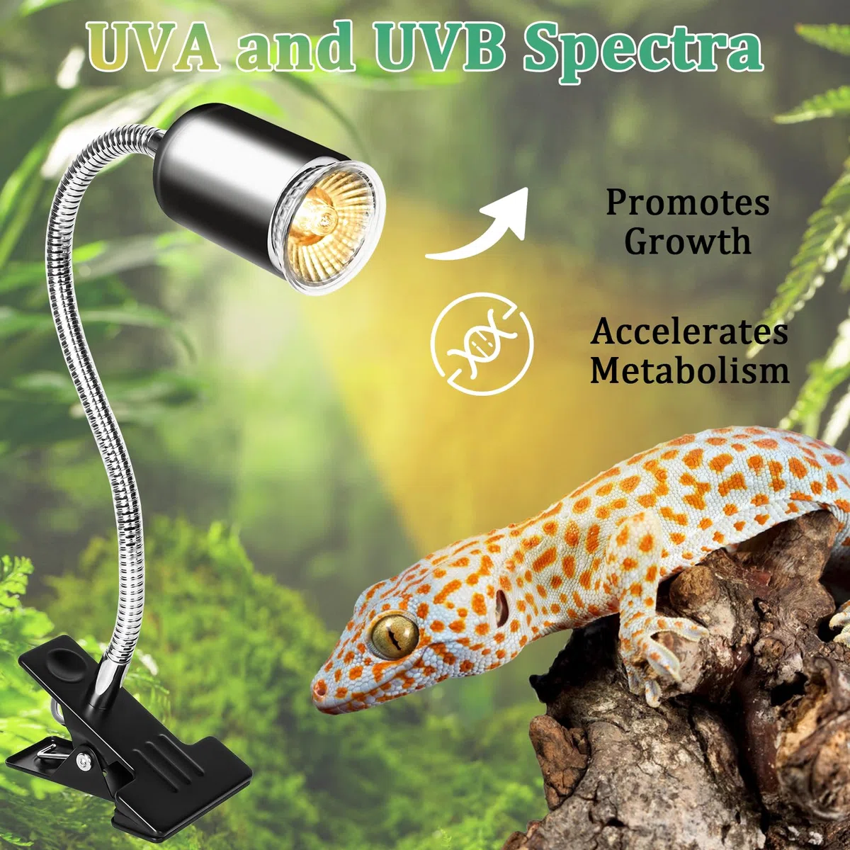 LURICO Lampada uvb Tartarughe, Lampada Rettile e Anfibio con 2 Lampadine UVA UVB, Interruttore Timer Regolabile, Lampadina Riscaldante con Morsetto Rotante a 360 ° per Tartarughe Rettili Lucertole
