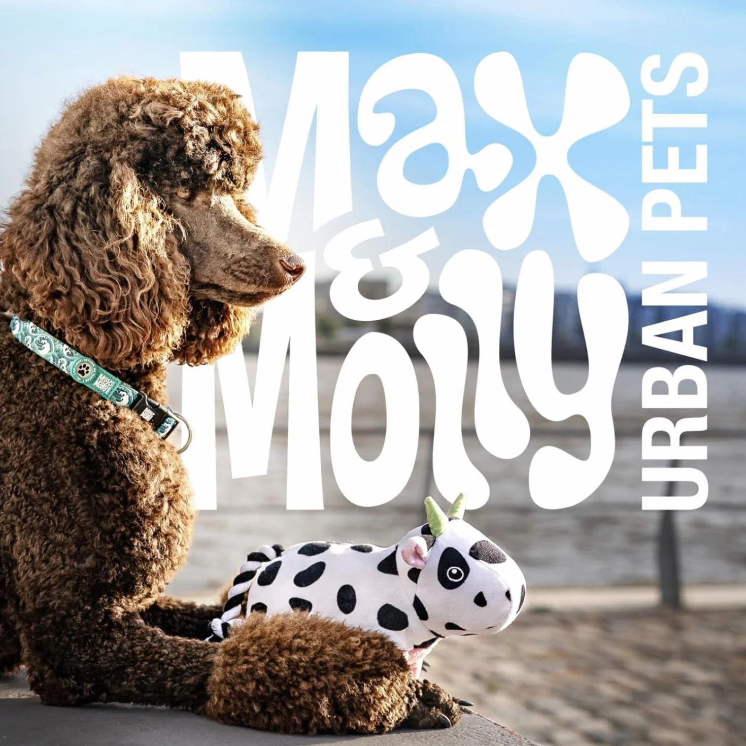 Max & Molly Matrix 2.0 Ultra LED, Luce per Cani per Guinzaglio e Collare, Nero, Impermeabile, Ricaricabile USB, Lampada LED per Cani, Luci per Cani per Maggiore Sicurezza Notturna