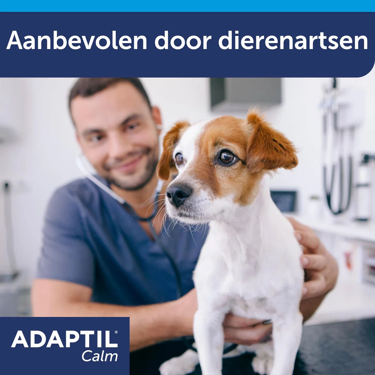 Adaptil Calm Halsband - Taglia S - Collare antistress per cani