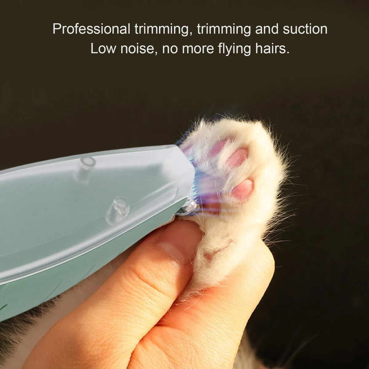Rasoio per Piedi di Animali Domestici, Potente Aspiratore Tosatrici per Cani e Gatti Tosatrici per Piedi di Animali Domestici Rasoio Elettrico per Animali Domestici Rasoio per