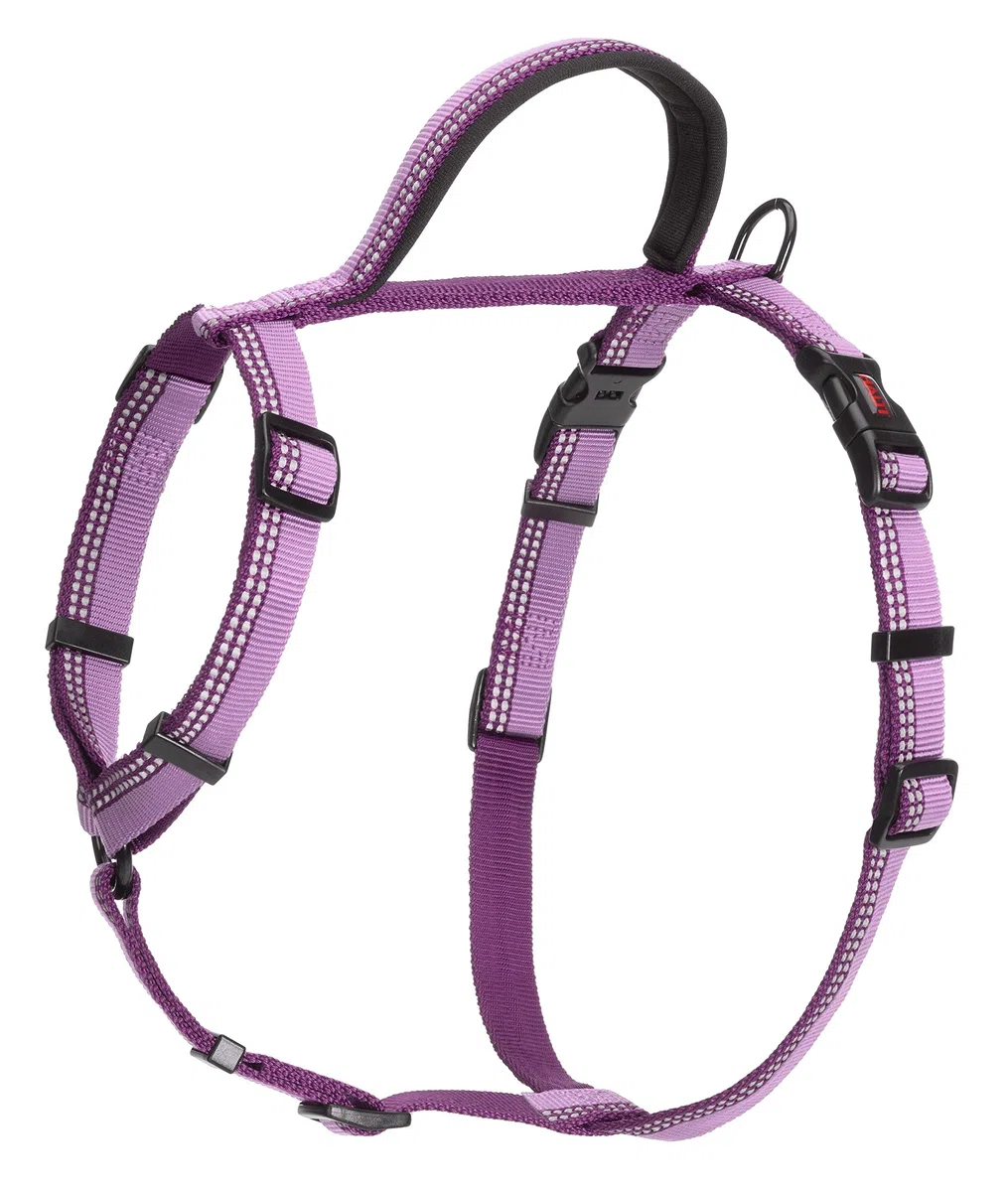 Pettorina da passeggio HALTI - pettorina anti-trazione con impugnatura, leggera, catarifrangente e regolabile, ideale per l’addestramento. Ideale per cani grandi (Taglia L, Viola)