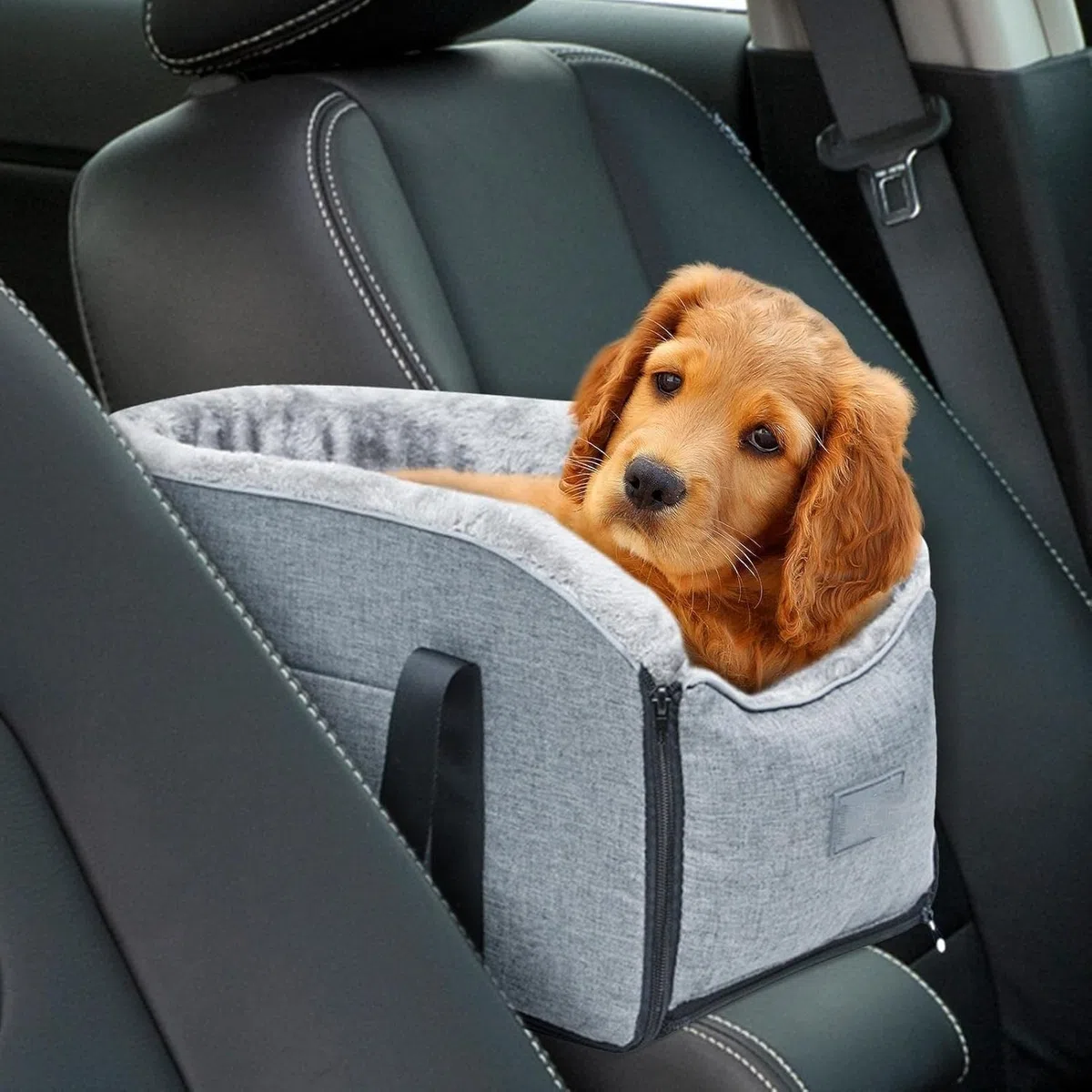 Console centrale seggiolino auto per cani, bracciolo portatile, per cani di piccola taglia e gatti, trasportino da viaggio impermeabile per animali domestici con legami di sicurezza, grigio