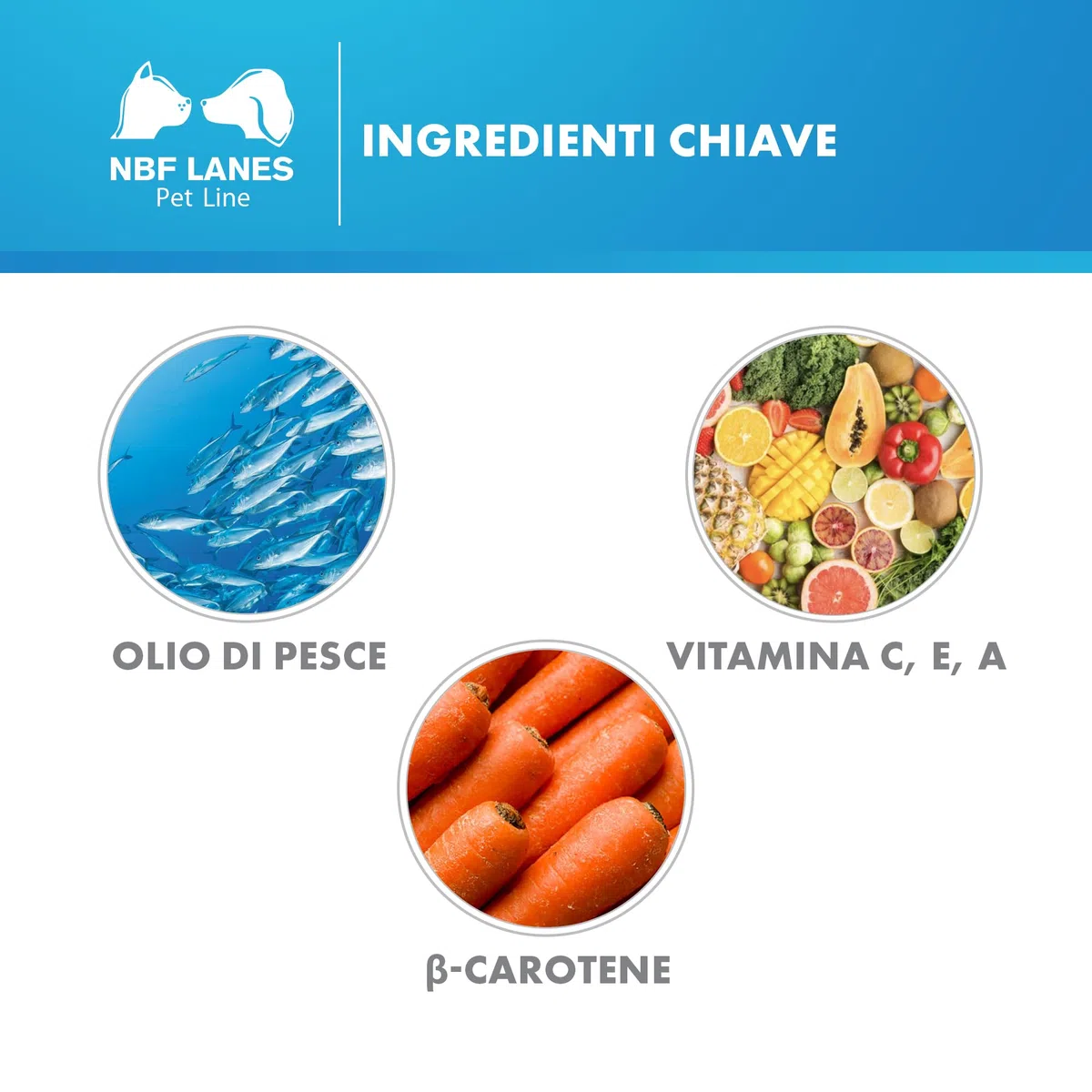 NBF Lanes | D.O.S. Pet Cane e Gatto, 50 Perle Appetibili, per il Normale Mantenimento della Funzione Visiva