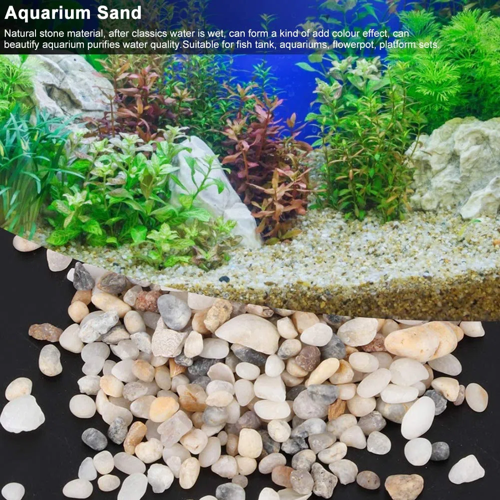 Jenngaoo Sabbia per Acquario, Pietra di Sabbia Naturale Ghiaia Decorazione Paesaggistica Serbatoio per Tartarughe Sabbia di Fondo per Acquario Vaso di Fiori Accessori per Riempitivi di Acqua Dolce