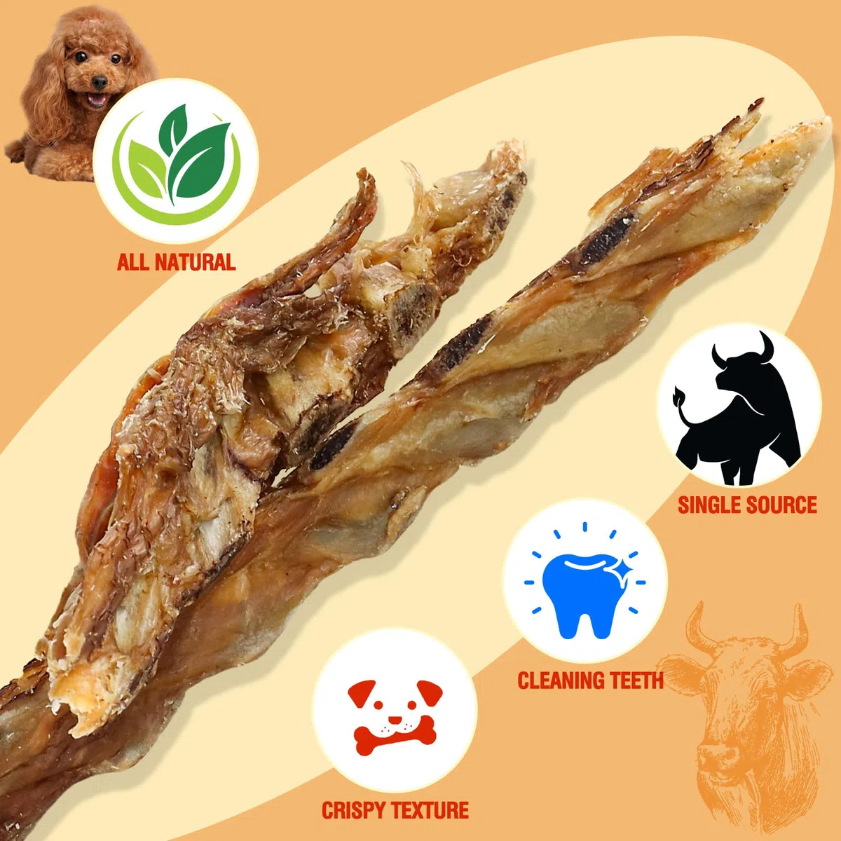 Carne di manzo costola ossa Cane tratta,100% naturale costola ossa mastica manzo da erba mangiato bovino,Lunga durata cane masticare ossa per masticatori aggressivi,150G (150G)