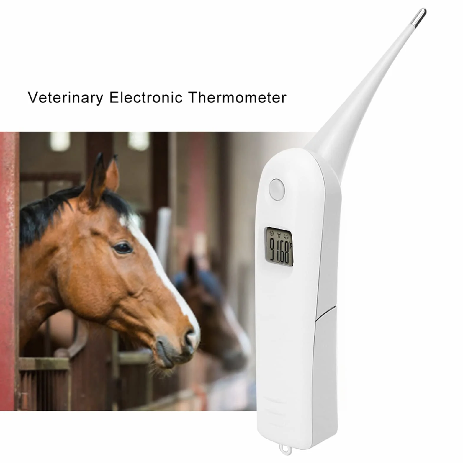 Tiiyee Termometro Per Animali Domestici, Digitale Domestici Gatti Acolari Cani Forniture Tecnologiche Veterinari Febbre Proprietari Cavalli Sonda Temperatura Flessibile Con Punta Tonda Impermeabile