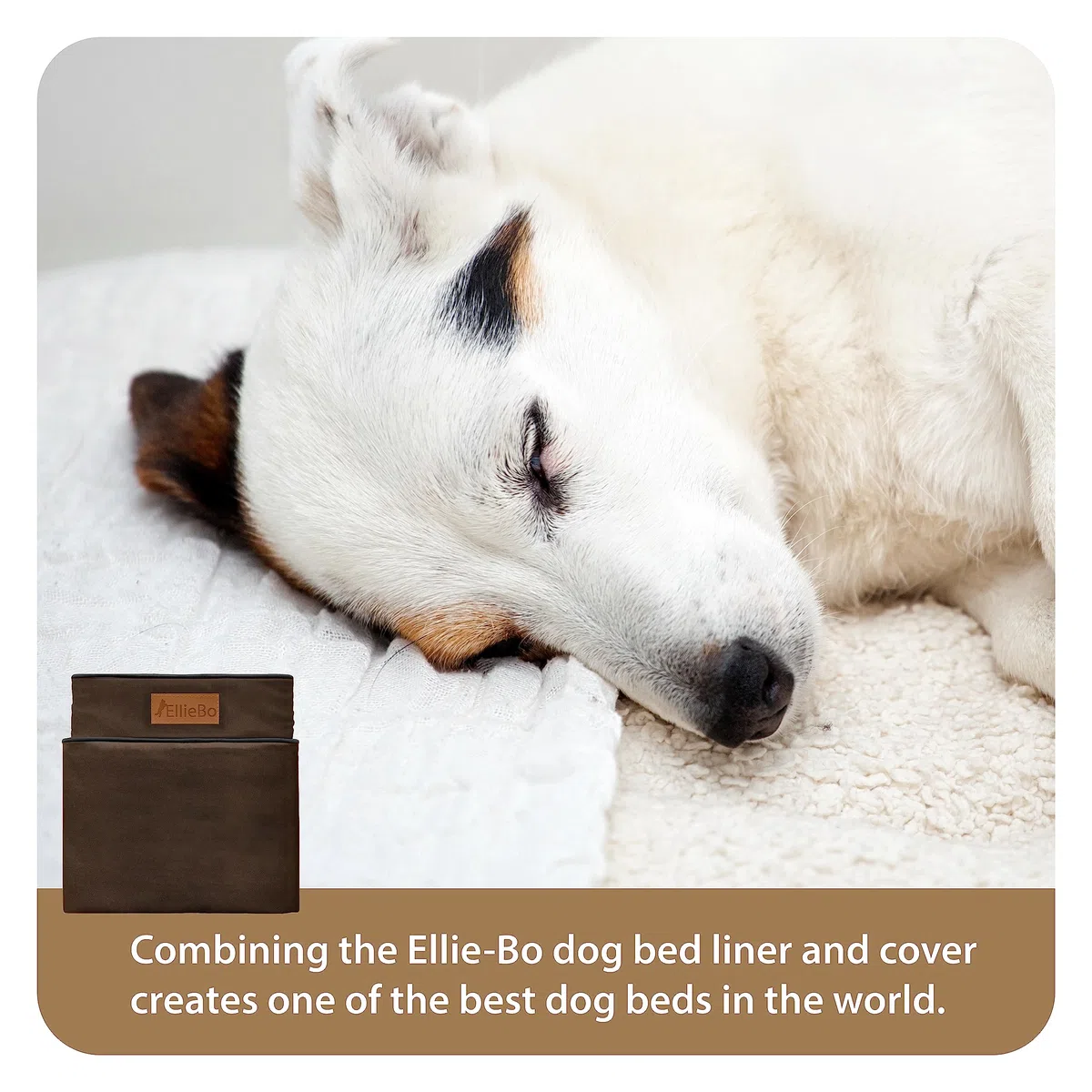 Ellie-Bo XL Mem. Dog Bed Cover - Marrone Impermeabile