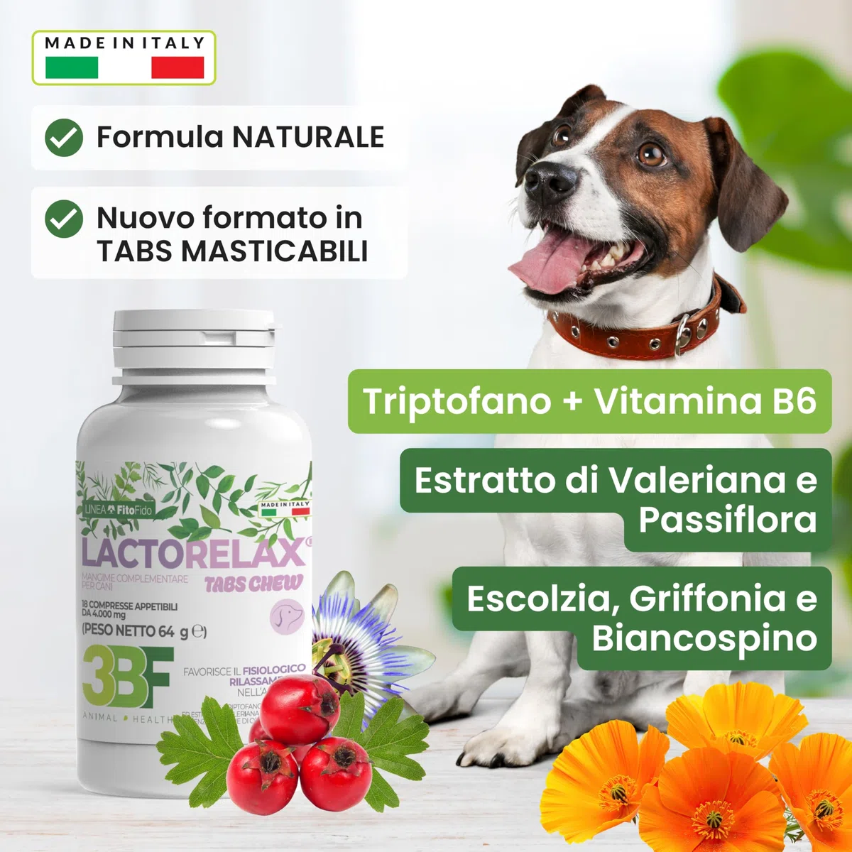 Trebifarma Lactorelax Tabs Chew per Cani – Calmante per Ansia, Stress e Agitazione con Triptofano, Valeriana e Passiflora – Rilassamento Naturale Rapido – 18 Compresse Gommose Appetibili