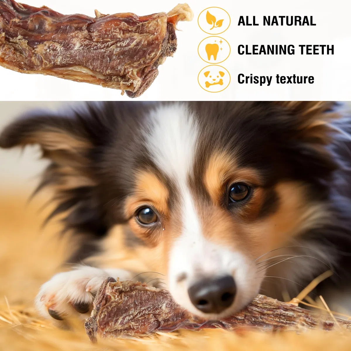 Ossi di coda di manzo naturali per cani - Masticatori dentali di lunga durata, privi di carne secca e digeribili, manzo allevato ad erba con un unico ingrediente (2 PCS)