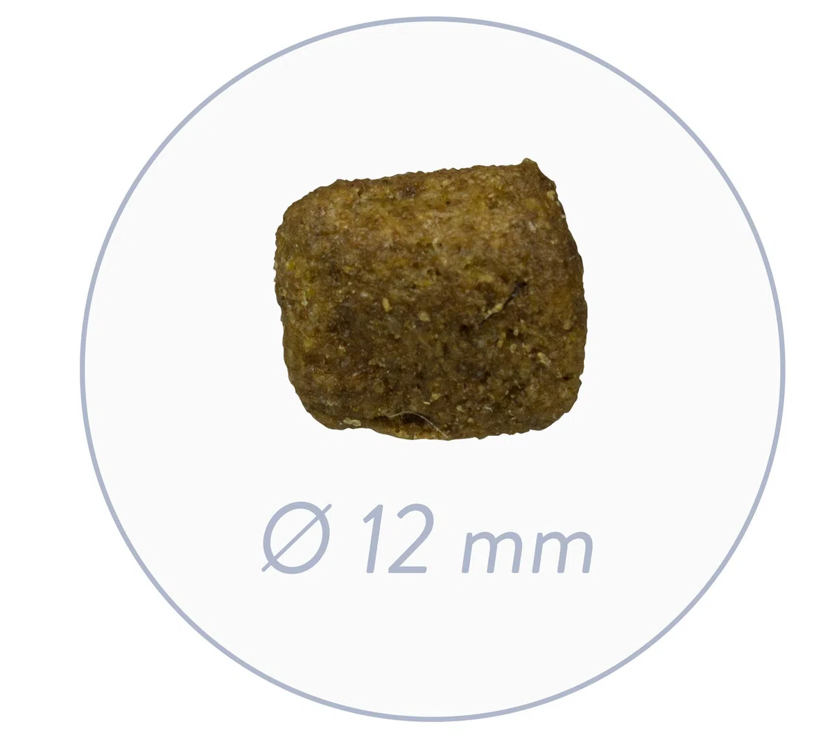 bosch HPC Maxi Senior con pollame fresco e riso | Cibo secco per cani anziani di razza grande (da 25 kg) | 1 x 2500 g (Confezione da 2)