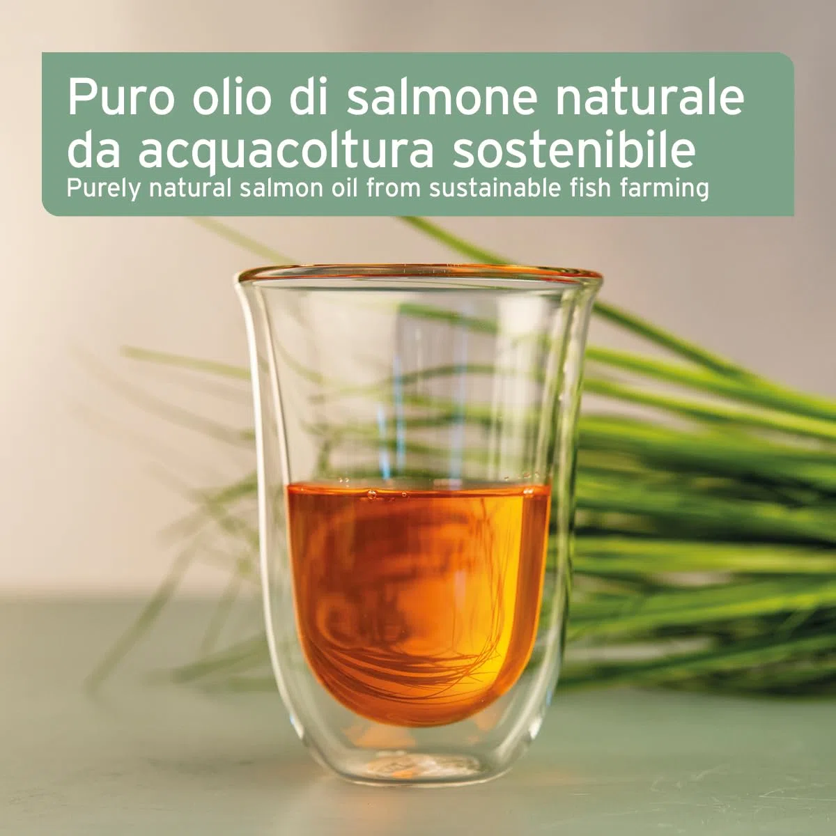 AniForte Omega 3 & 6 Olio di Salmone per Cani 1 l - Acidi grassi Omega-3, olio di pesce puro di alta qualità, integratore alimentare per cani