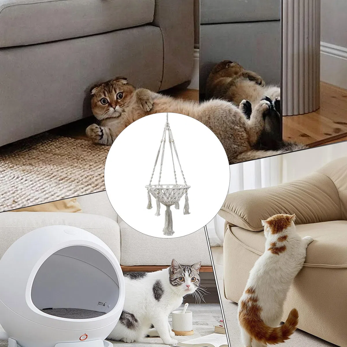 Amaca per gatti macramè, intrecciata, morbida struttura a corda, cuccia per gatti appesa a parete, altalena per gatti fatta a mano, cestino decorativo in stile bohémien, per piccoli animali domestici