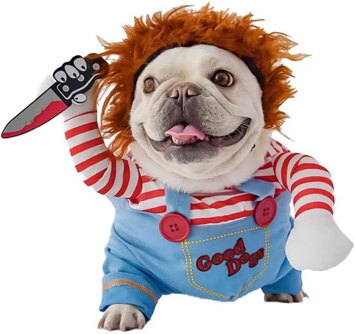 Costume Halloween per Cani, Costume Travestimenti Divertenti di Natale,M