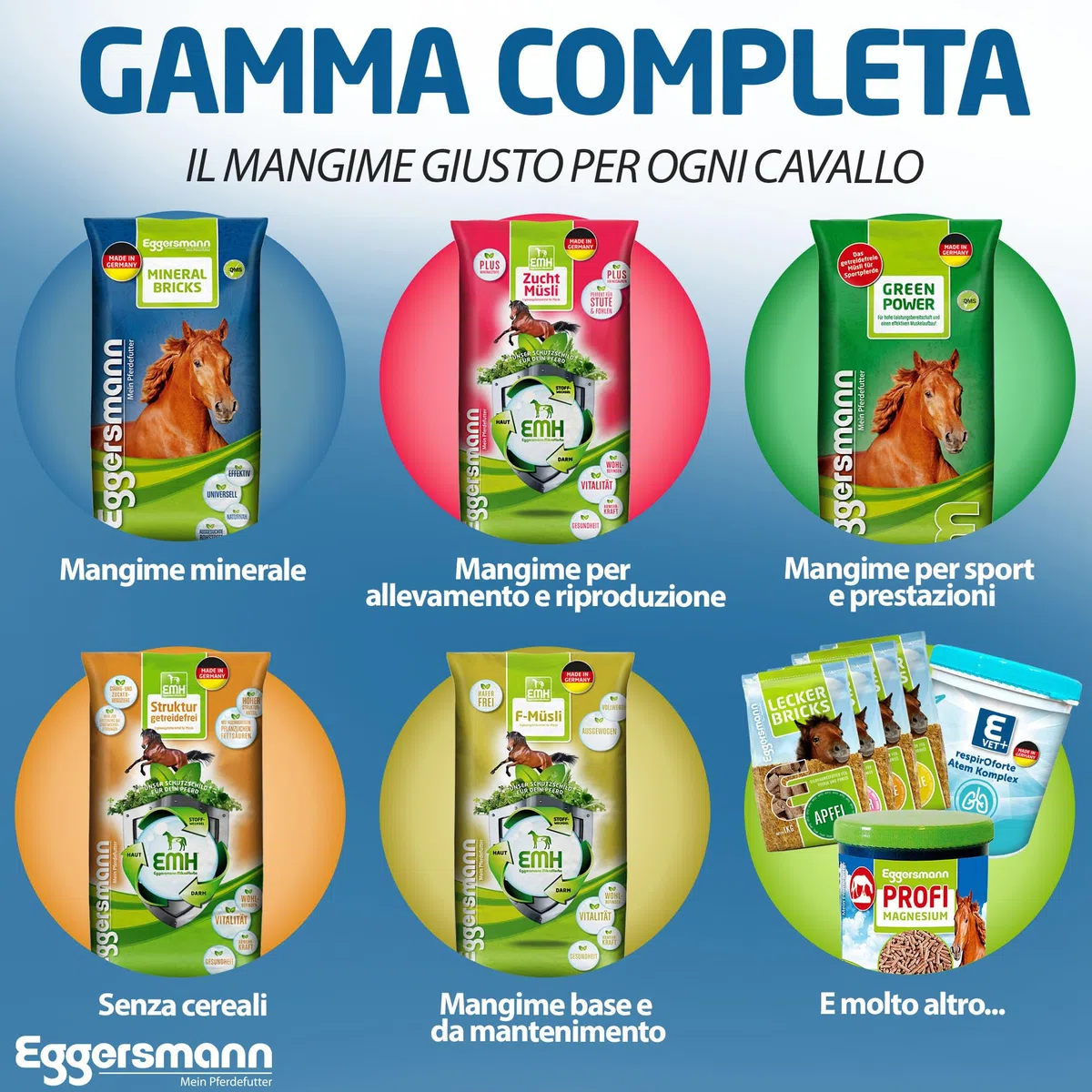 Eggersmann Mein Pferdefutter Horse Vital Plus 4 kg - Mangime Minerale per Cavalli di Tutti i Tipi - Mangime per Cavalli Ricco di vitamine per Una Fornitura ottimale a Tutto Tondo - per completare Il