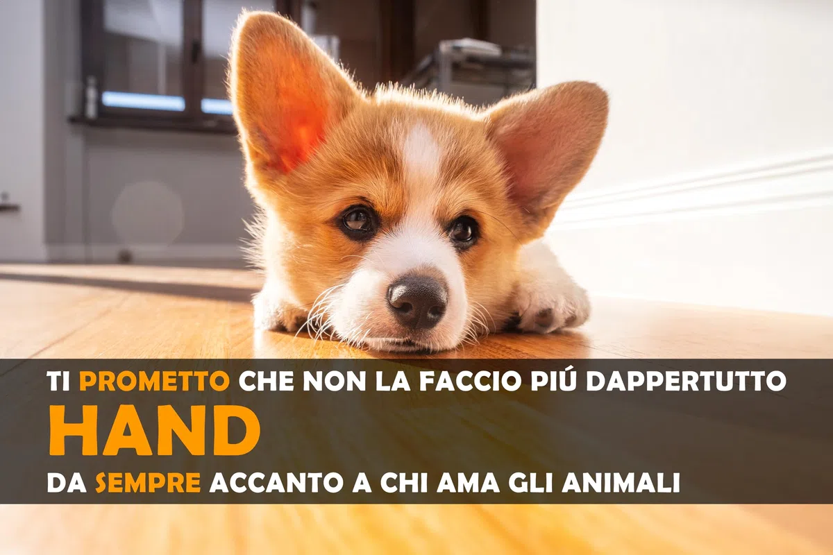 HAND Traversine Cani Carboni Attivi 60x90 cm, 50 Pezzi Super Assorbenti e Antiodore, Tappetini Igienici Neri per Cani e Cuccioli con Adesivi di Fissaggio, Extra Spessi e Resistenti (50 Pezzi 60x90 cm)