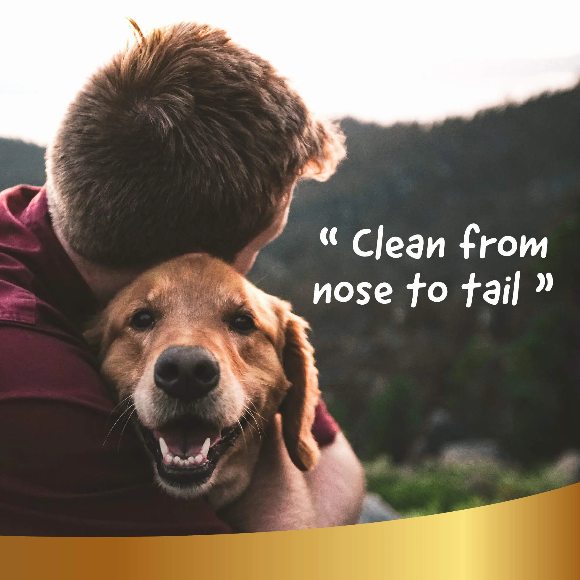 Shampoo a Secco Naturale per Cani - Lavaggio Senza Bisogno di Acqua o Risciacquo - Ingredienti di Origine Vegetale - per Tutti i Tipi di Pelo, Linea 101 (500ml)