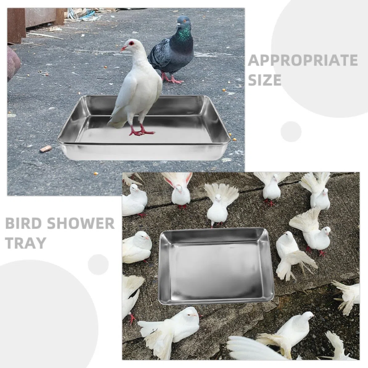 Vasca da Bagno in Acciaio Inox per Piccioni e Pappagalli, Design Profondo Anti-Spruzzo, Dimensioni 35X30 CM, Accessorio per Gabbie di Uccelli Domestici