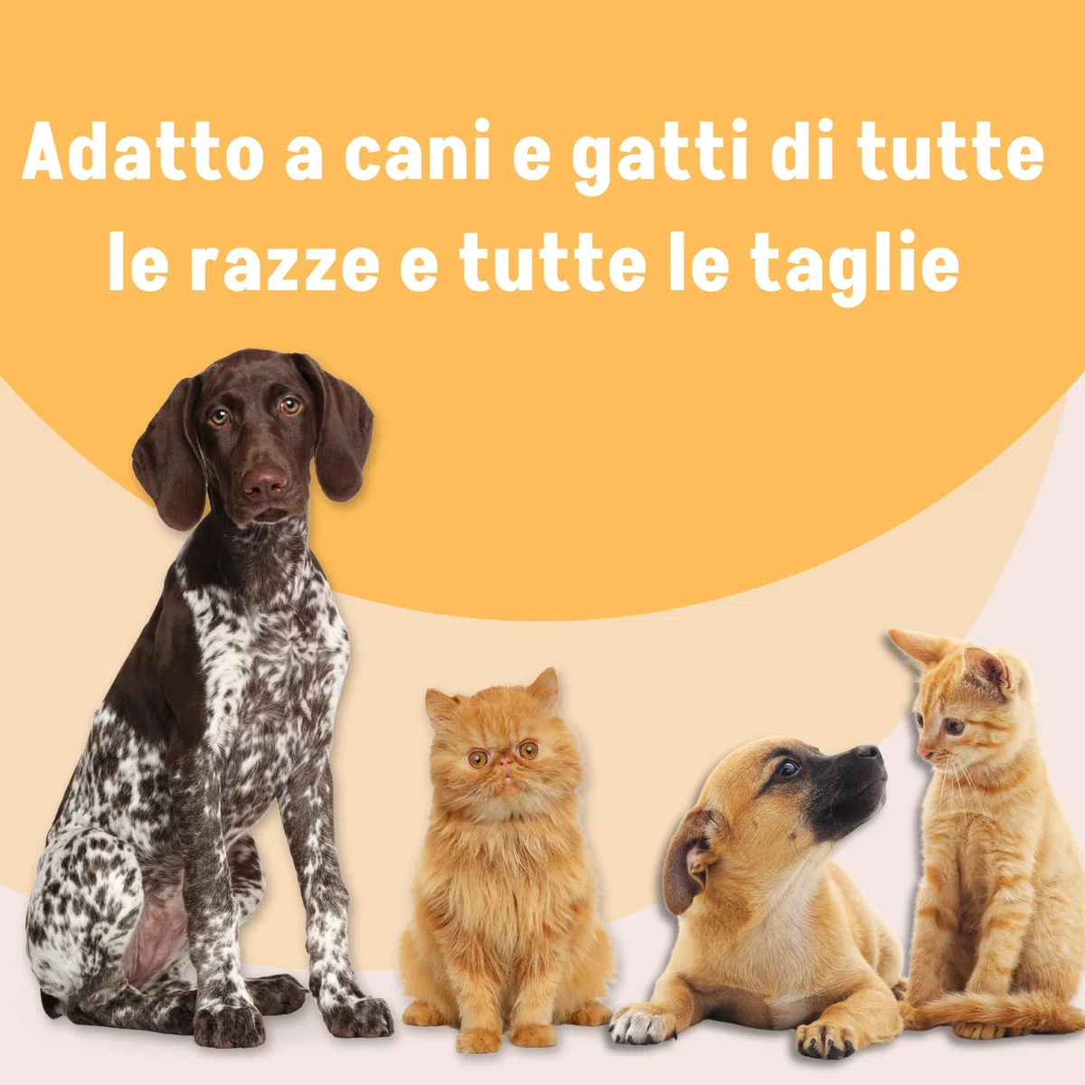 Surio Integratore Cani e Gatti 100ml - Supporto Benessere Urinario - Con Cranberry, Glucosamina, D-Mannosio - Vitamina C, Selenio - Estratti Vegetali, Urtica, Orthosiphon