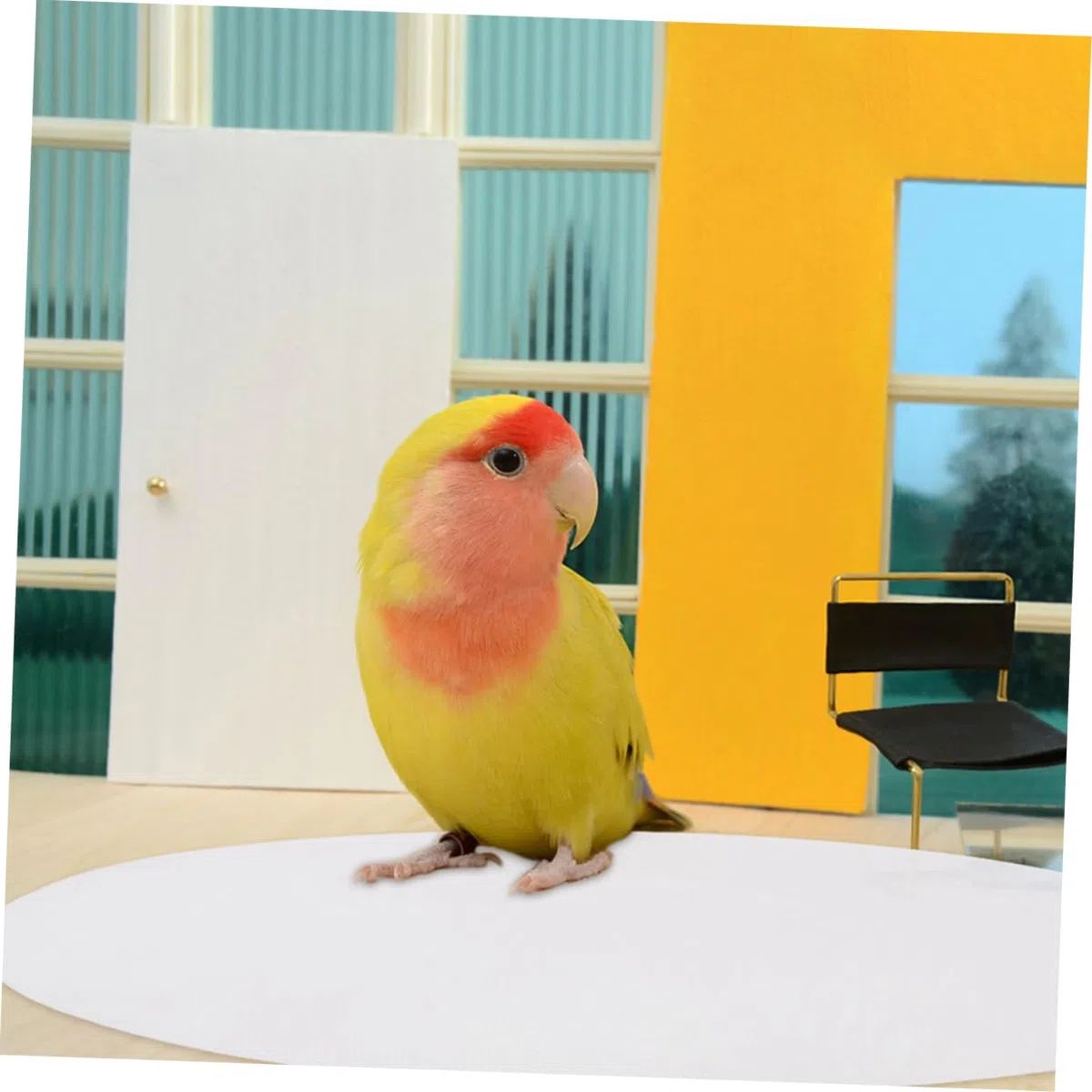 TOYANDONA 100 Fogli Pad per Gabbie Uccelli per Parakeet Calopsitta e Pappagalli Resistente all Usura Facile Smaltimento e Assorbimento per Gabbie