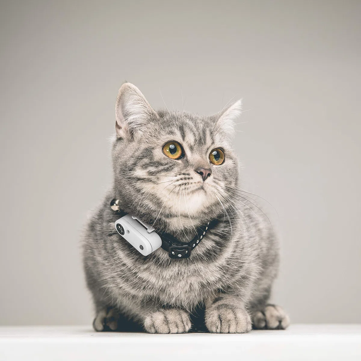 Tickless Mini Cat - Repellente ultrasonico Ricaricabile per allontanare zecche Ideale per Animali Domestici di Piccola Taglia - Bianca