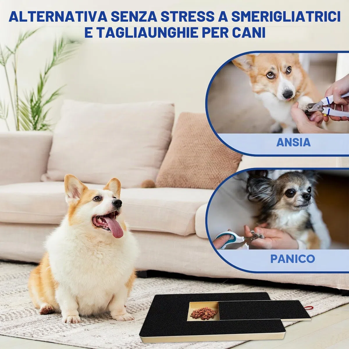 Tavola per Graffiare per Cani con Scatola per Snack, Grattugia per Unghie per Cani con 2 Fogli di Carta Vetrata di Ricambio, Alternativa per Graffiare per Cani Tagliaunghie per Unghie per