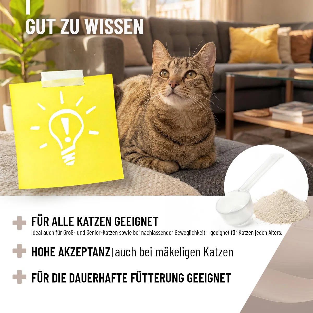ReaVET Giunto Complex gatto, per 3 mesi, alternativa alle compresse articolari – molto elevata accettazione – speciale agente articolare per gatti, meglio di cozze verdi MSM, artiglio del diavolo,