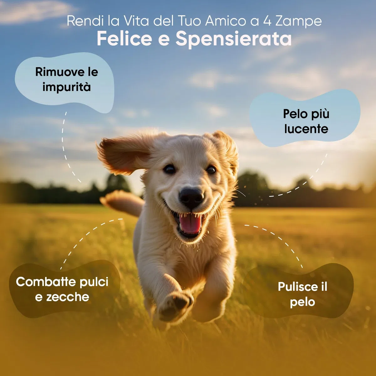 Shampoo Antiparassitario per Gatti e Cani 500ml, Antiparassitario Cani e Gatti pH Equilibrato, Shampoo Ricco di Ingredienti Naturali, Antipulci Gatto