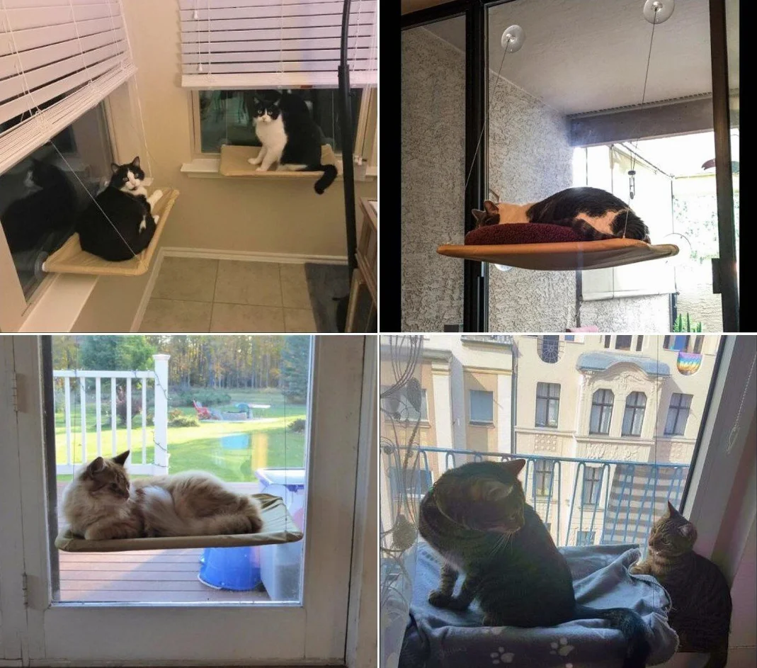 JZK Amaca da Finestra per Gatti + Coperta per Gatti, Letto sospeso per Animali Domestici a Ventosa e Coperta Nera per Animali Domestici per Pesce persico