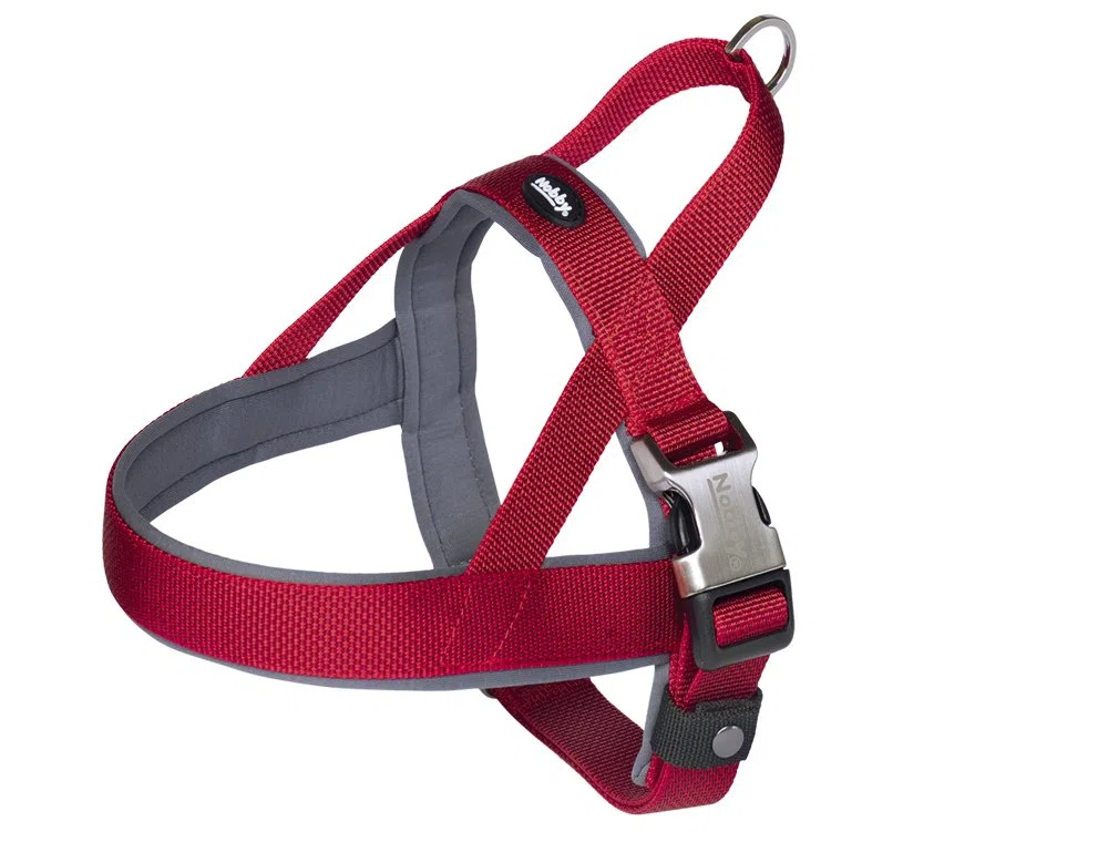 Nobby Stoviglie Norvegesi Classic Preno Royal, rosso, L: 60-76 cm + 46 cm, larghezza: 25/35 mm, confezione da 1 pezzo